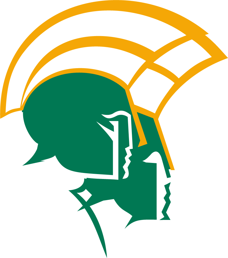 Norfolk State Spartans 1999-Pres Secondary Logo diy iron on heat transfer